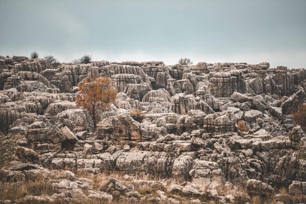 فندق Odom Retreat Mzaar Kfardebian المظهر الخارجي الصورة